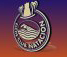 WP Elche
