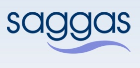 logo saggas